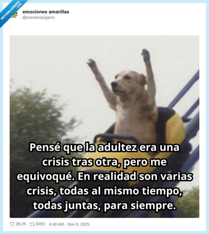 adultez,crisis,equivocarse