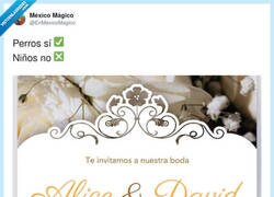 Enlace a 2025, por @EnMexicoMagico