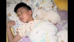 Enlace a Una madre compra en secreto un cachorro y se lo da a su hijo en mitad de la noche., por @honordetigre