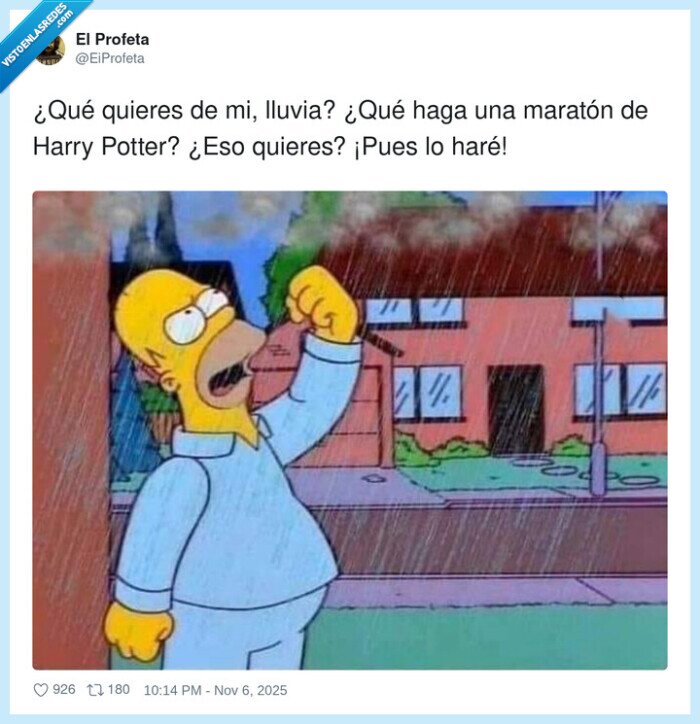 maratón,homer simpson,lluvia,harry potter