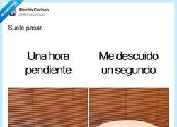 Enlace a De las cosas que más rabia da es limpiar el destrozo, por @RincnCuriosoo
