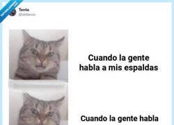 Enlace a Cuánta verdad en una sola imagen