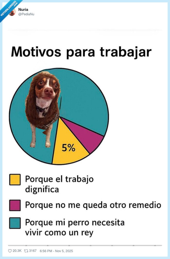 trabajo,dignificar,remedio,perro