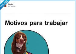 Enlace a Vivo por él, por @PediaNu