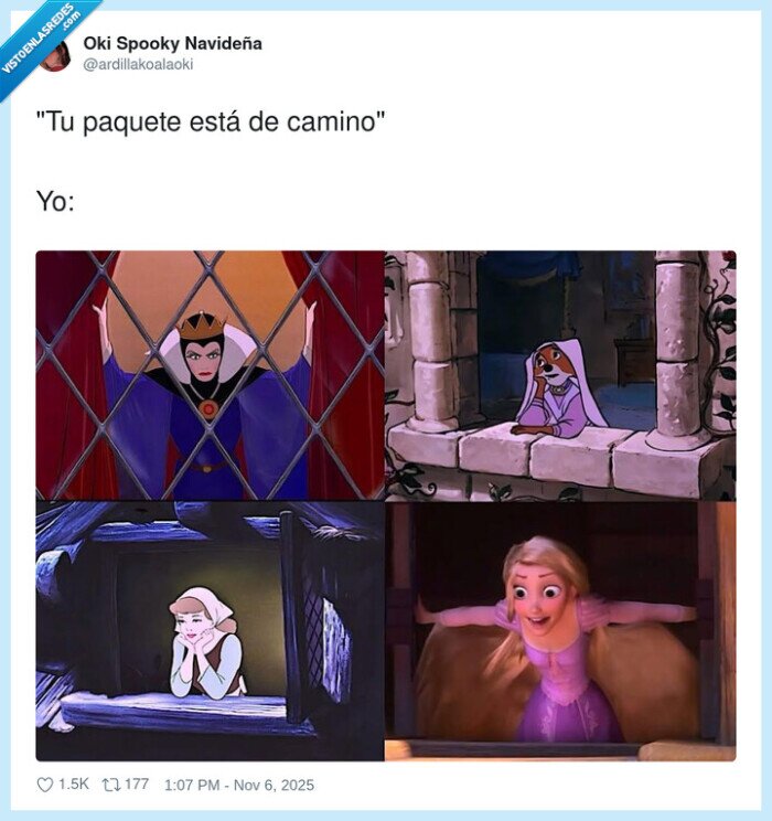 paquete,en camino,llegar,esperar