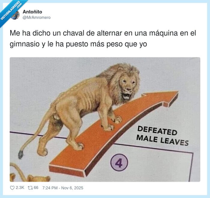 alternar,máquina,gimnasio,chaval,peso,mucho,derrota