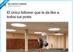 Enlace a Se me hace un poco stalker