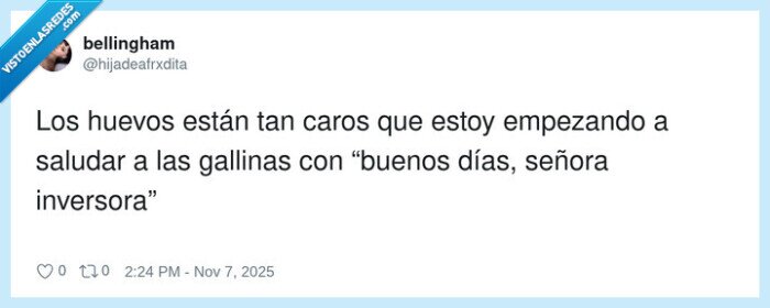 inversora,gallinas,huevos,señora