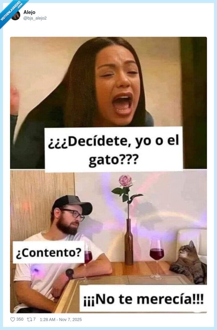 gato,meme,merecer,pareja,amor