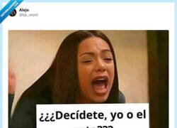 Enlace a Las mascotas siempre por delante, por @bjs_alejo2