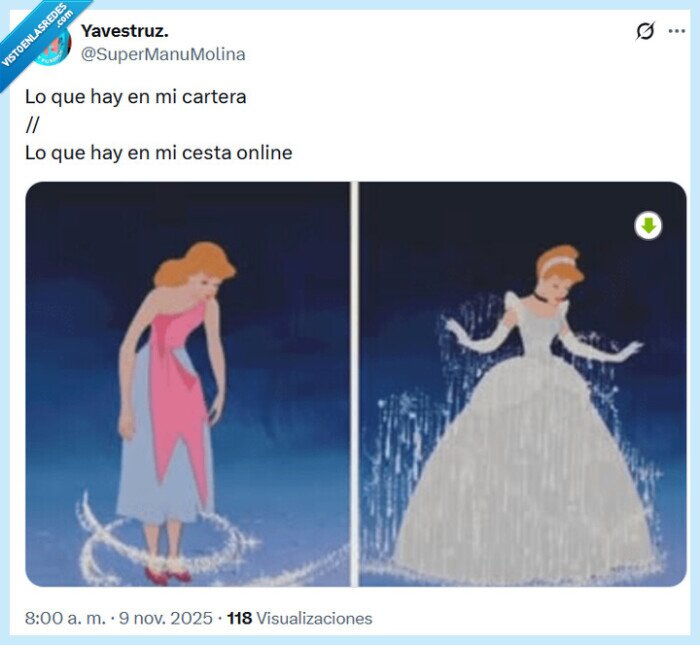 cartera,cesta,online,cenicienta