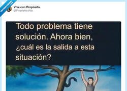 Enlace a Yo me tiraba a los cocodrilos, por @PropositoyVida