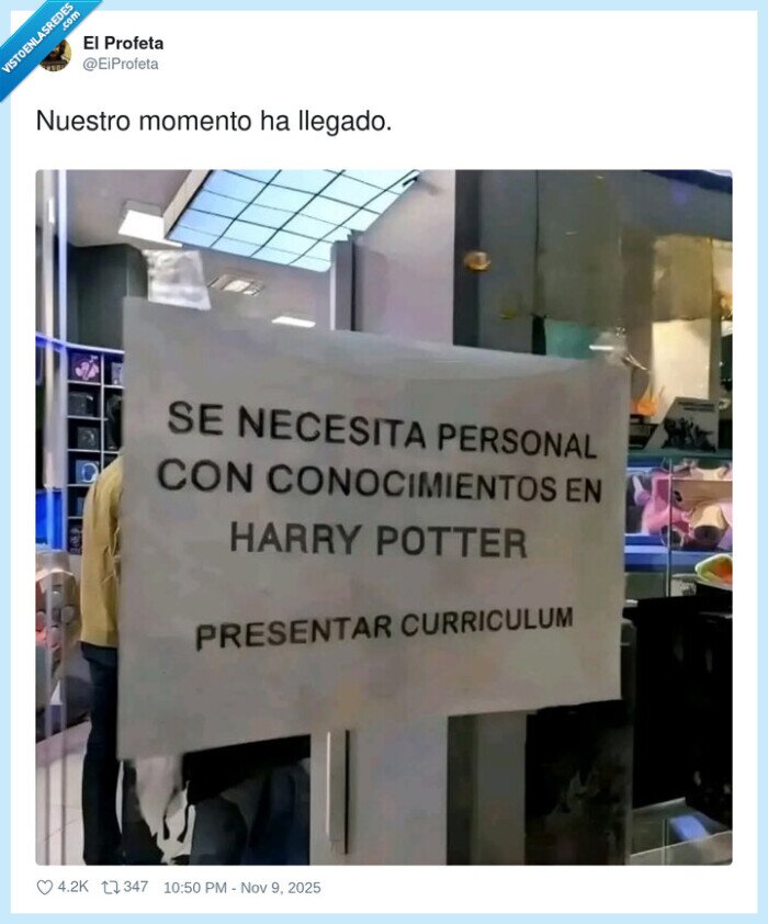 trabajo,harry potter