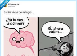 Enlace a Mi cerebro está loco, por @xCesiox