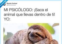 Enlace a Dentro de mí solo hay pereza, por @RincnCuriosoo