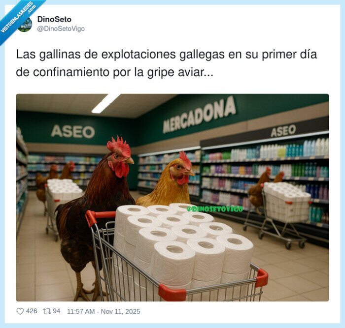 confinamiento,explotaciones,gallinas,gallegas,gripe aviar