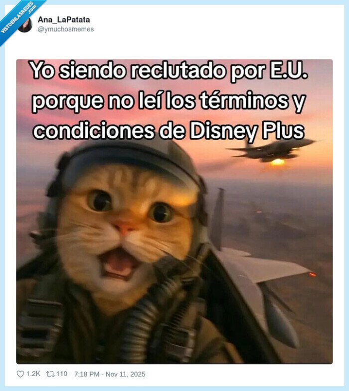disney plus,ejército,condiciones,eeuu