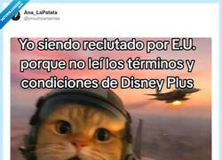 Enlace a Así aprenderás para la próxima, por @ymuchosmemes