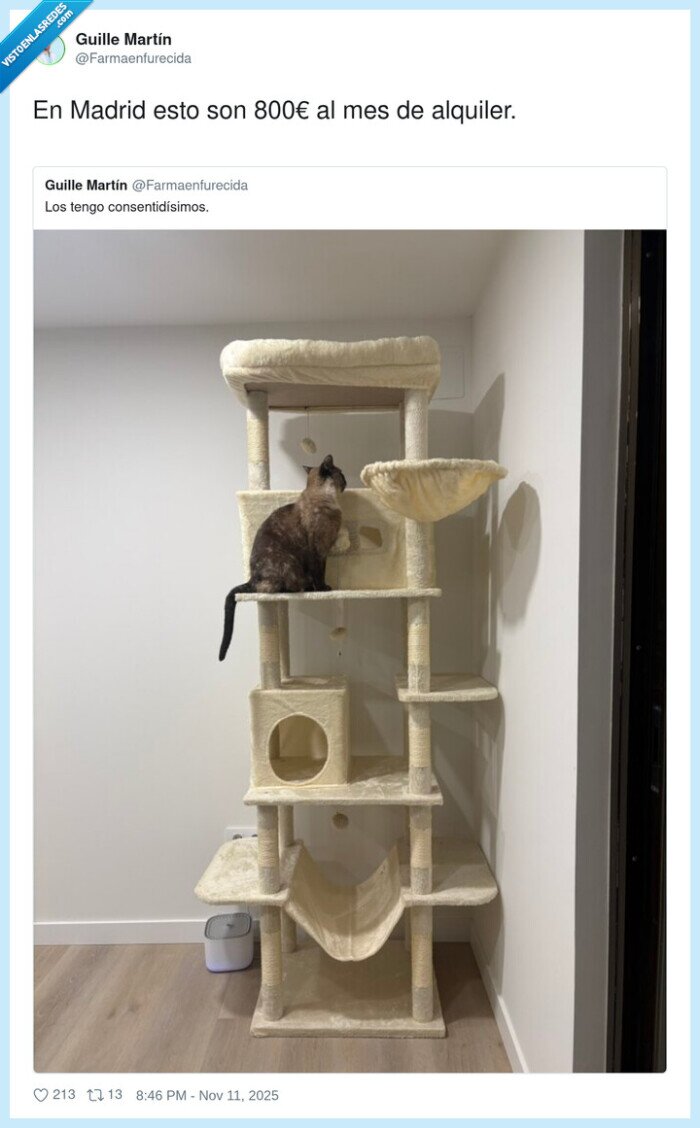 alquiler,madrid,800€,gato