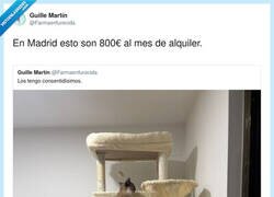 Enlace a Ático triplex con tres terrazas, lujazo, por @Farmaenfurecida