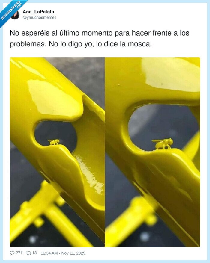 pintura,mosca,pintada