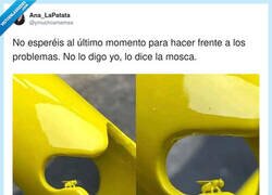 Enlace a Esa mosca va a ser eterna, por @ymuchosmemes