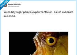 Enlace a La ciencia siempre te recordará, por @robertinelmalo