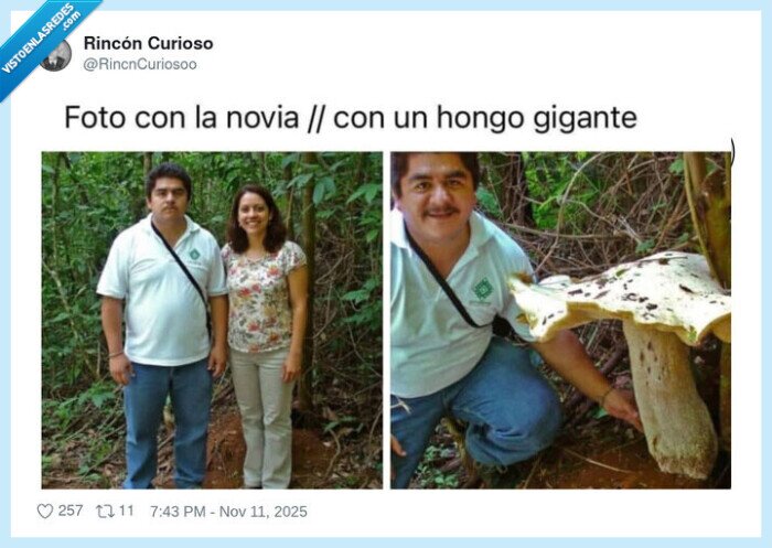 hongo,novia,foto
