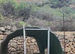 Enlace a Si ellas se autoperciben como rinocerontes, quiénes somos nosotros para juzgarlas, por @WillyTolerdoo