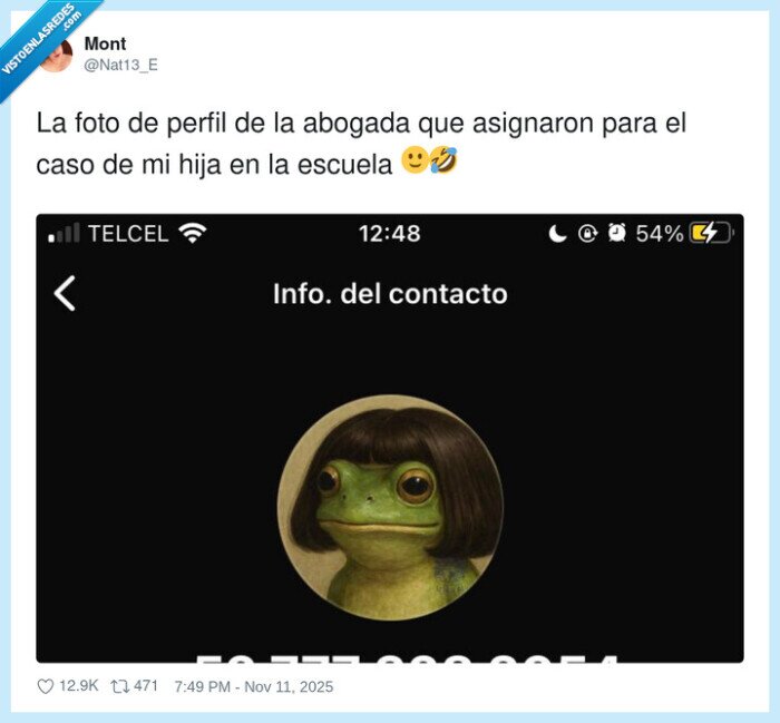 abogada,anfibio,perfil,escuela,sarcasmo,memes,cuenta
