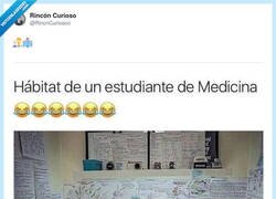 Enlace a Tanto estudiar para que luego te quite el trabajo un médico cubano, por @RincnCuriosoo