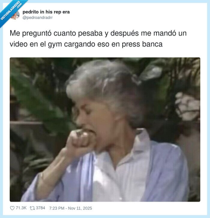 gimnadio,pesas,hierro
