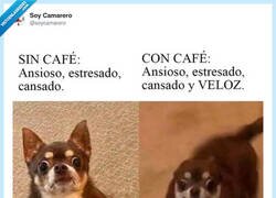 Enlace a Algo es algo