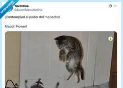 Enlace a ¡Pa´rriba! por @supermanumolina