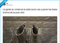 Enlace a Cerdos hay en todas partes, por @luiswingg