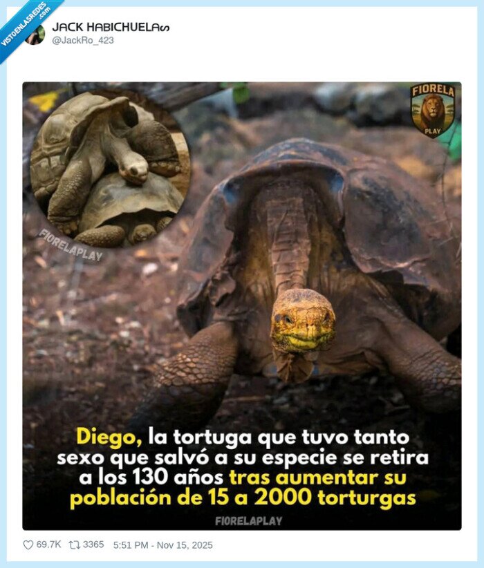 tortuga,Diego,especie,reproducción,conservación