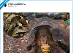 Enlace a Ojalá hubiera más Diegos en nuestro país