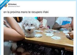 Enlace a Pobrecillo, aunque se le ve bastante a gusto ahí, por @KenkenIsTaken