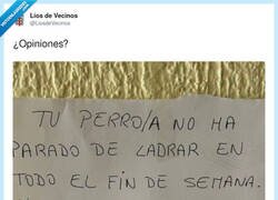 Enlace a Muy pesaditos con la ley de protección animal