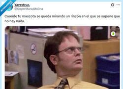 Enlace a ¿Qué miras, Misifú? por @supermanumolina