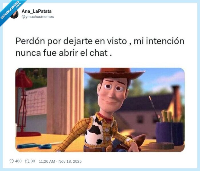 chats,ignorar,Woody,despistado,maldición