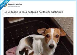 Enlace a Con lo cara que va la tinta... normal, por @DiloConPerritos
