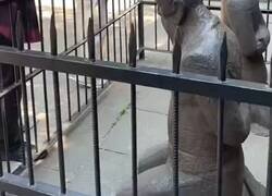 Enlace a Las estatuas que en China llevan siglos recibiendo escupitajos y patadas