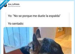 Enlace a Esto lo veo insalvable, ni yendo cada día al quiropráctico