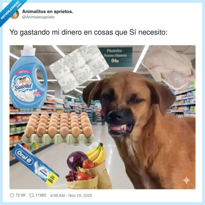 gastar,necesitar,dinero,cosas,perro