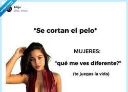 Enlace a Qué diferentes somos, por @bjs_alejo2