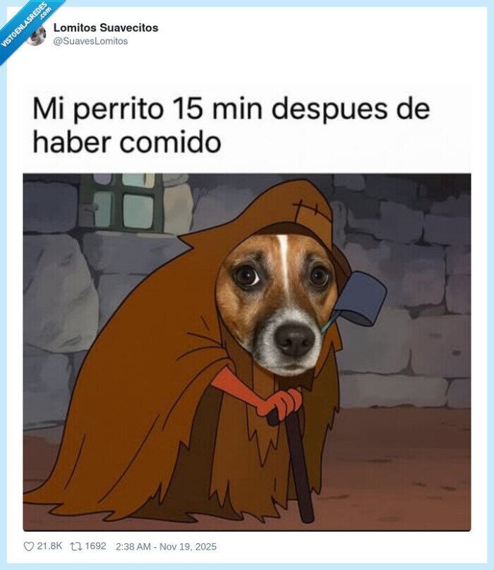 perro,pedir,comida,vagabundo