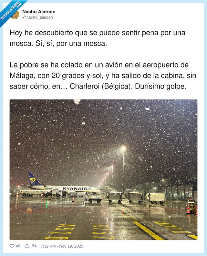 mosca,aeropuerto,vuelo,clima,Charleroi