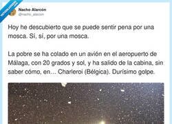 Enlace a Da para argumento de película de Pixar, por @nacho_alarcon