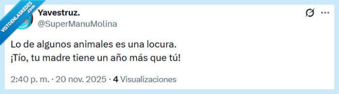 animales,locura,año,madre